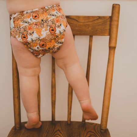 Couche à poche Éco Bébé avec insert de 11,5 oz d'absorption et avec effet au sec en POLAR - Piqûre au miel